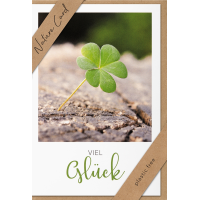 Sortiment Nature Cards Foto -384 plastikfreie Karten mit Umschlägen - 64 Dekore mit Drehständer - Bundle UVP: € 1148,16