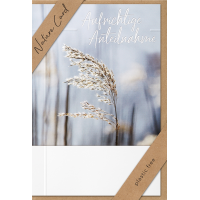 Sortiment Nature Cards Foto -384 plastikfreie Karten mit Umschlägen - 64 Dekore mit Drehständer - Bundle UVP: € 1148,16