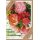 Sortiment Nature Cards Foto -384 plastikfreie Karten mit Umschlägen - 64 Dekore mit Drehständer - Bundle UVP: € 1148,16