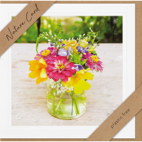 Sortiment Nature Cards Foto - 192 plastikfreie Karten mit Umschlägen - 64 Dekore mit Drehständer - Bundle UVP: € 574,08