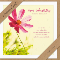 Sortiment Nature Cards Foto - 192 plastikfreie Karten mit Umschlägen - 64 Dekore mit Drehständer - Bundle UVP: € 574,08