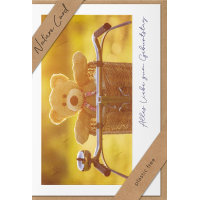 Sortiment Nature Cards Foto - 192 plastikfreie Karten mit Umschlägen - 64 Dekore mit Drehständer - Bundle UVP: € 574,08