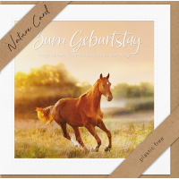 Sortiment Nature Cards Foto - 192 plastikfreie Karten mit Umschlägen - 64 Dekore mit Drehständer - Bundle UVP: € 574,08