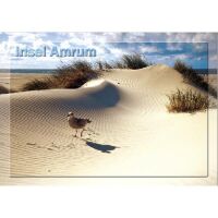 Insel Amrum Postkarten Motive 109