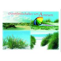 Insel Amrum Postkarten Motive 123