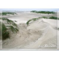 Insel Amrum Postkarten Motive 164