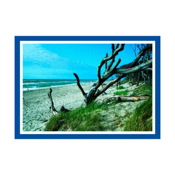 Fischland-Darß-Zingst Postkarten Motive 049