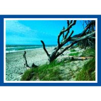 Fischland-Darß-Zingst Postkarten Motive 049