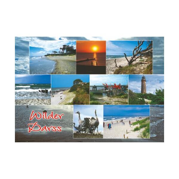 Fischland-Darß-Zingst Postkarten Motive 051