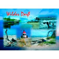 Fischland-Darß-Zingst Postkarten Motive 052