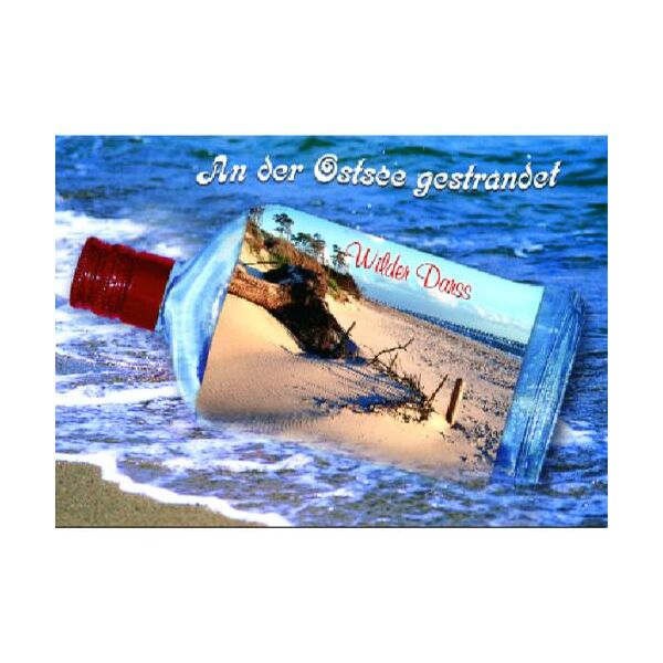 Fischland-Darß-Zingst Postkarten Motive 085