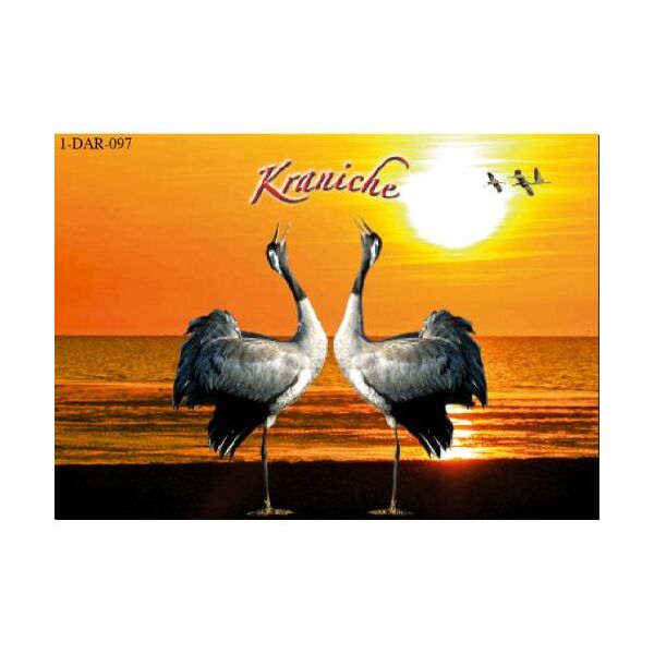 Fischland-Darß-Zingst Postkarten Motive 097