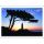 Hiddensee Postkarten Motive 038