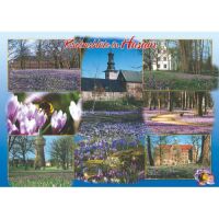 Husum Postkarten Motive 034