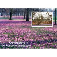 Husum Postkarten Motive 057