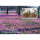 Husum Postkarten Motive 057