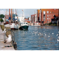 Husum Postkarten Motive 061