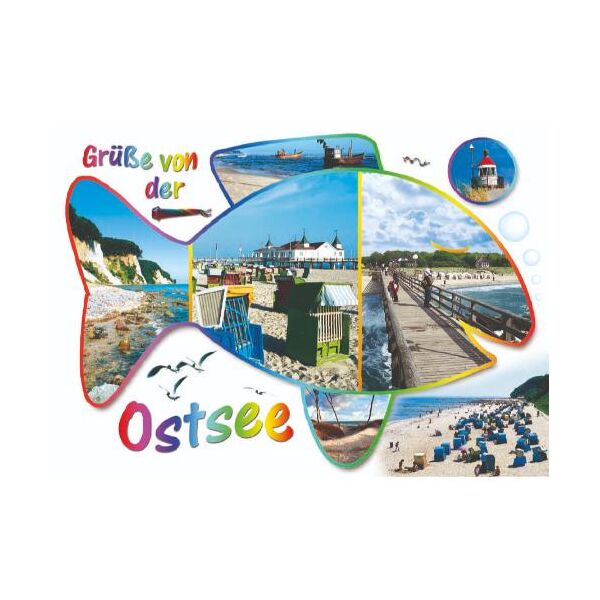 Ostsee Postkarten Ansichtskarten Fisch mit Bildern Grüße von der Ostsee