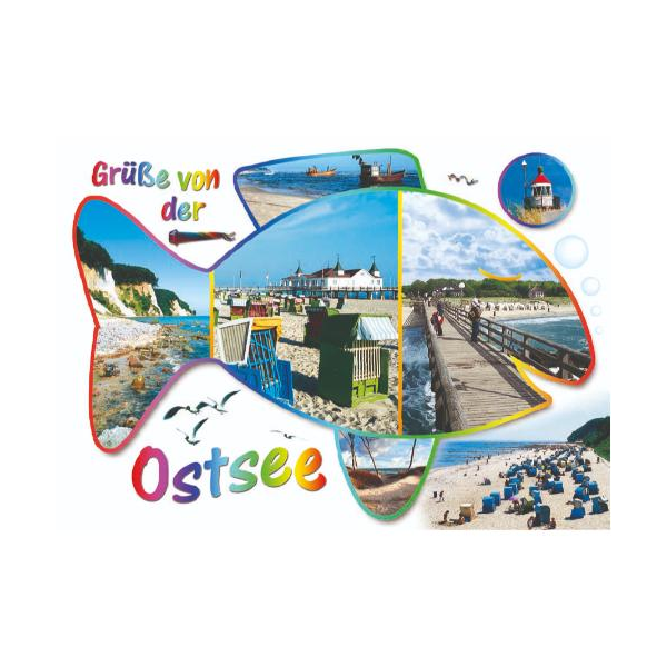 Ostsee Postkarten Ansichtskarten Fisch mit Bildern Grüße von der Ostsee