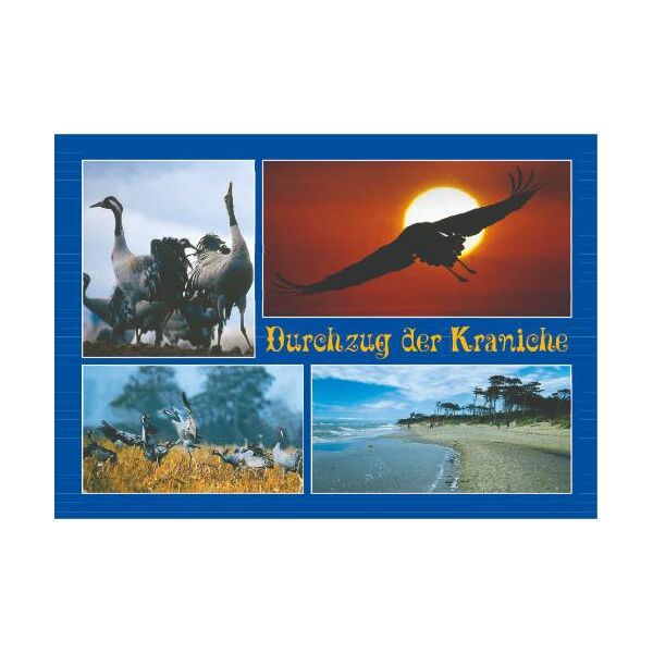 Zingst Postkarten Motive 026