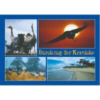 Zingst Postkarten Motive 026
