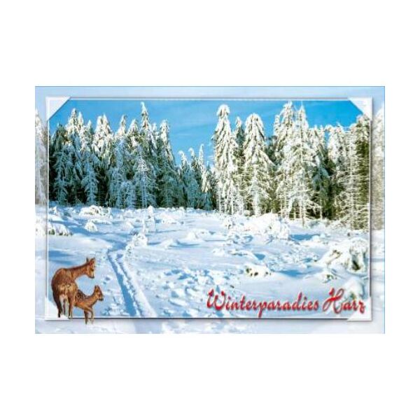 Harz Postkarten Motive 061