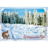 Harz Postkarten Motive 061