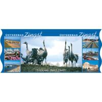 Zingst Bedruckte Tassen Motive ZIT-001