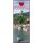 Cochem an der Mosel Feuerzeuge XL Motive 217-COCH-S