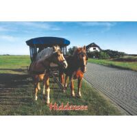 Hiddensee Kühlschrankmagnete Motive 003