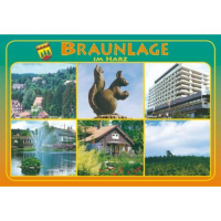 Braunlage Glasmagnete Motive BRA-6
