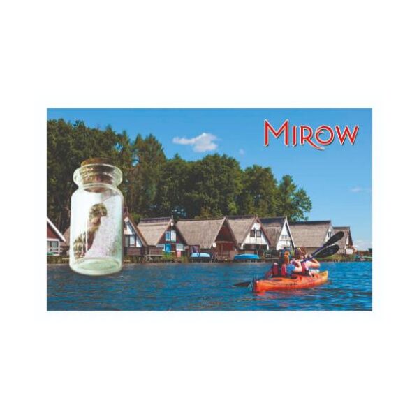 Lieferbar ab 2027 - Mirow Kleine Flasche Magnete Motive MIR1