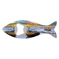 Koserow auf Usedom Magnetischer...