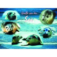 Hallig Hooge Tischset Motive 006-HHO