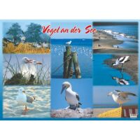 Seemotive Tischset Motive 067-VER-N