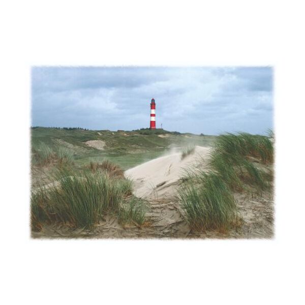 INSEL AMRUM Tischset Motive 276-AMR