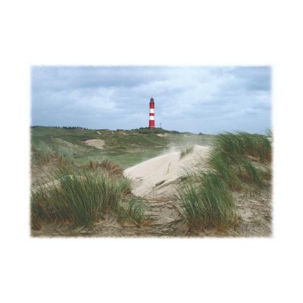 INSEL AMRUM Tischset Motive 276-AMR