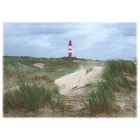 INSEL AMRUM Tischset Motive 276-AMR