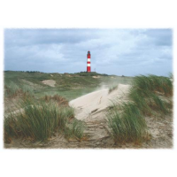 INSEL AMRUM Tischset Motive 276-AMR