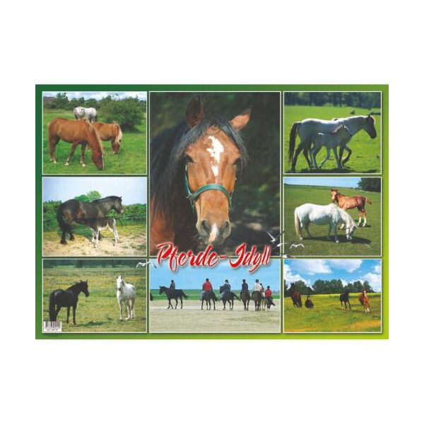 Tiere Tischset Motive 335-TIE