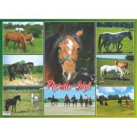 Tiere Tischset Motive 335-TIE