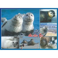 Tiere Tischset Motive 335-TIE