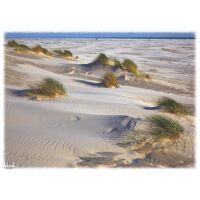 INSEL AMRUM Tischset Motive 566-AMR