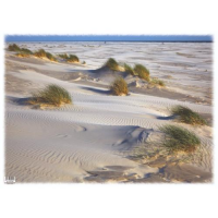 INSEL AMRUM Tischset Motive 566-AMR