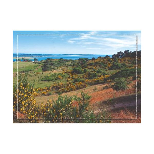 Hiddensee Tischset Motive 569-HID