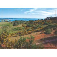 Hiddensee Tischset Motive 569-HID
