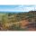 Hiddensee Tischset Motive 569-HID