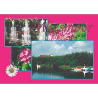 Wiesmoor - Ostfriesland Postkarten Ansichtskarten Motiv  002