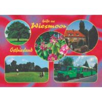 Wiesmoor - Ostfriesland Postkarten Ansichtskarten Motiv  004