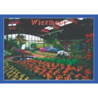 Wiesmoor - Ostfriesland Postkarten Ansichtskarten Motiv  030